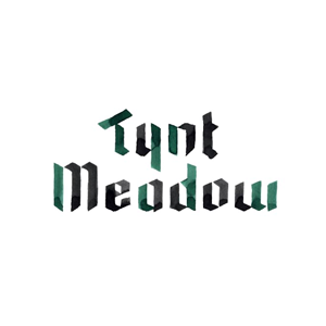 Tynt Meadow
